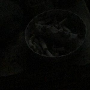 Meet your Posher, Rollin